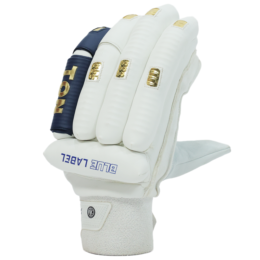 https://www.sstoncricket.com/wp-content/uploads/2026/01/Blue-Label-Gloves-1.png
