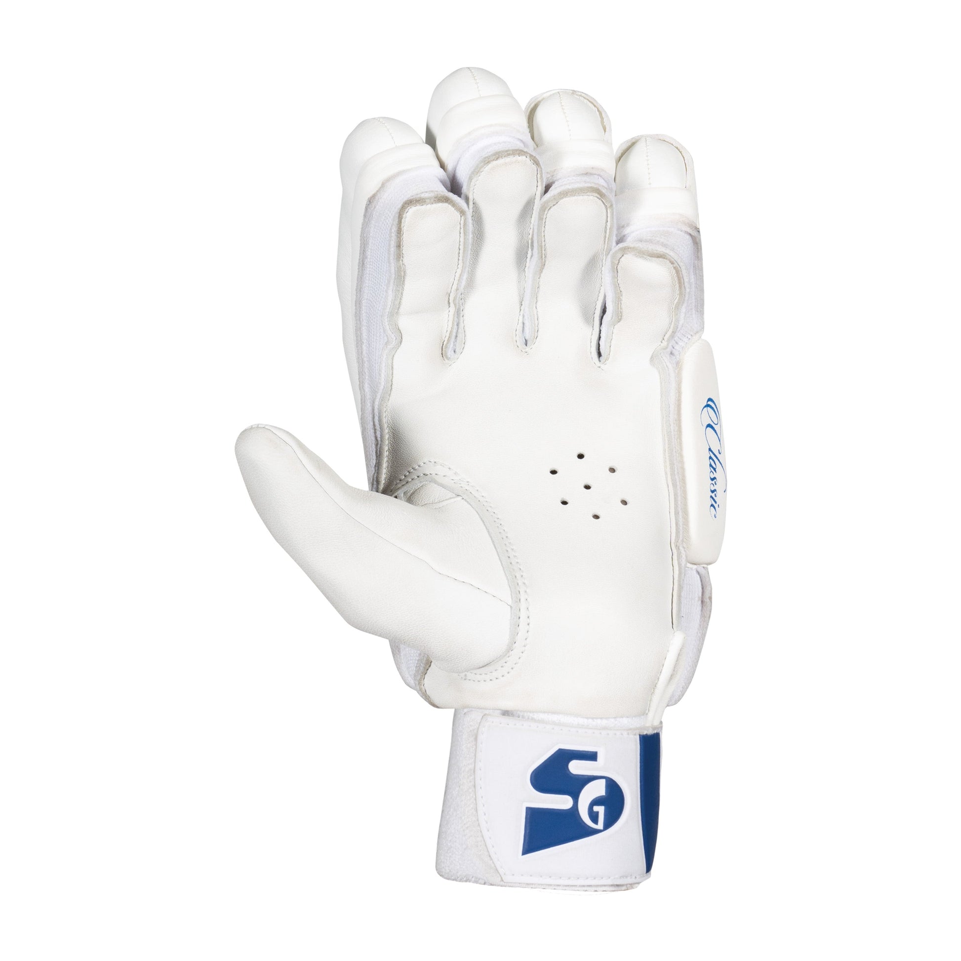 https://cdn.shopify.com/s/files/1/0827/6249/8336/files/TestBattingGloves_2.jpg?v=1752135634