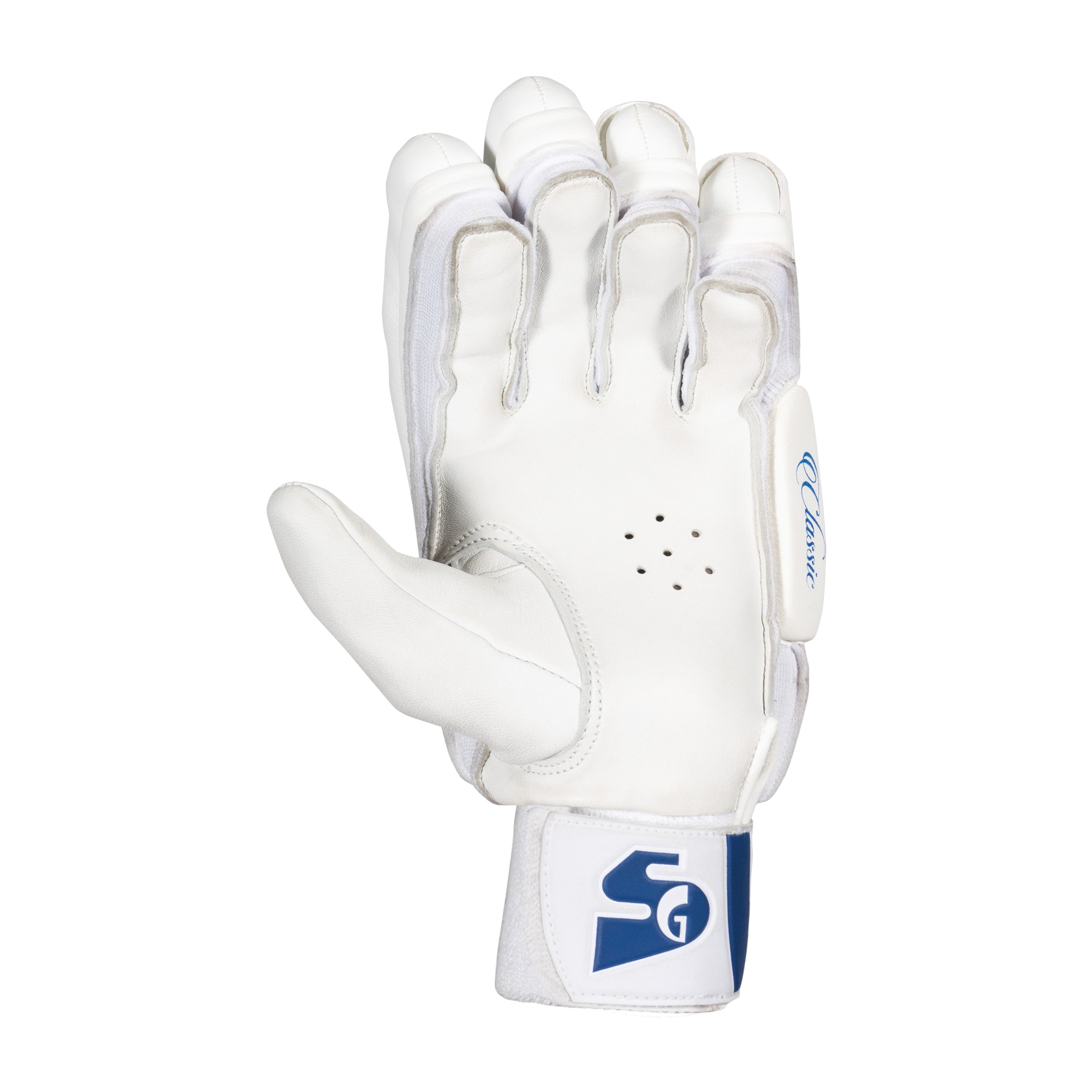 https://cdn.shopify.com/s/files/1/0827/6249/8336/files/TestBattingGloves_2.jpg?v=1752135634