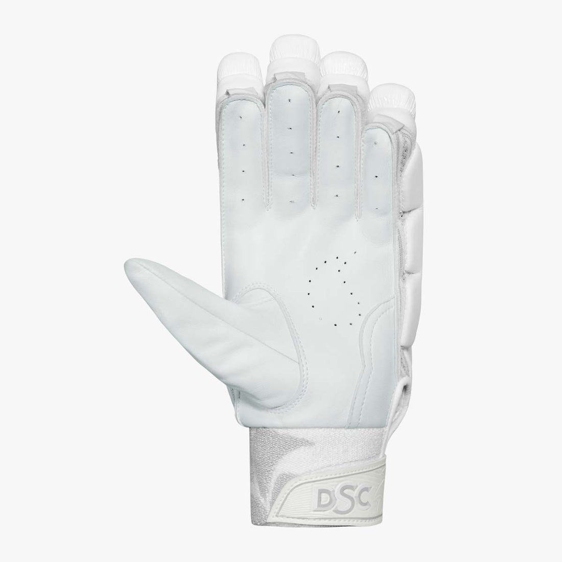 https://cdnmedia.dsc-cricket.com/media/catalog/product/cache/5b0ea239e50527b43e3253a7f103e237/k/r/krunch-1-0-batting-gloves_1.jpg